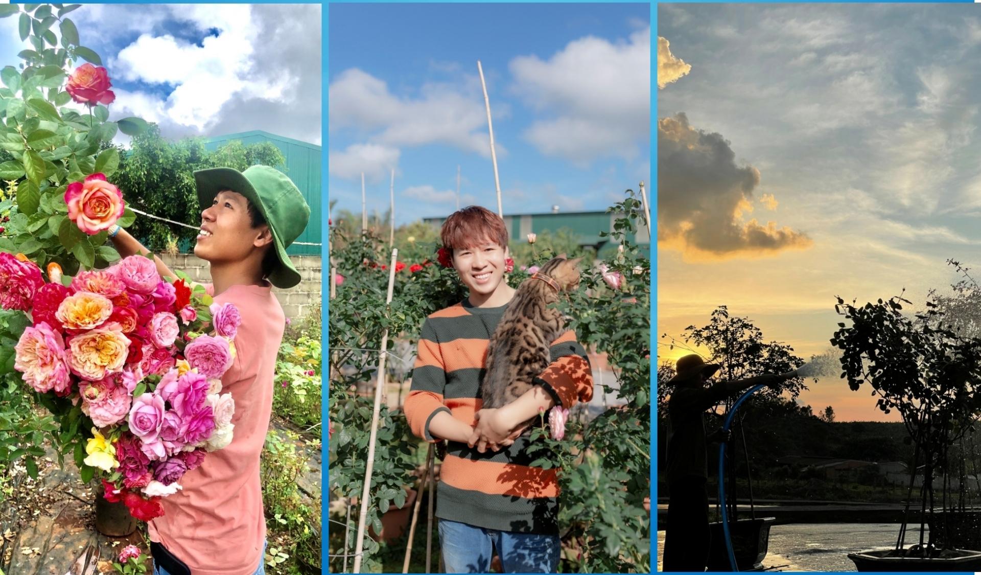 Trang trại hoa hồng rộng 18.000m2, đẹp mê mẩn của chàng trai phố núi