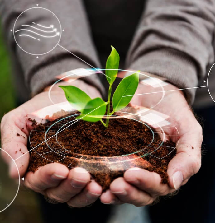 CÔNG TY TNHH THƯƠNG MẠI VÀ DỊCH VỤ DU LỊCH KHÁCH SẠN ĐÂY RỒI