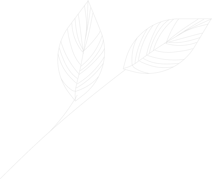 CÔNG TY TNHH THƯƠNG MẠI VÀ DỊCH VỤ DU LỊCH KHÁCH SẠN ĐÂY RỒI